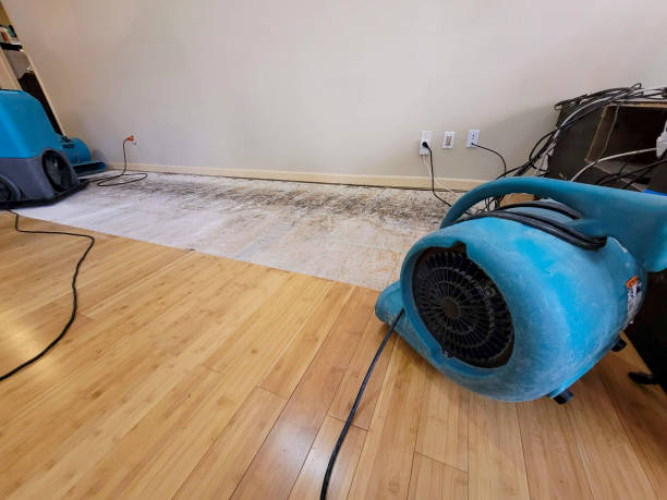 Professional Flood Damage Cleanup technician working in Williston, TN